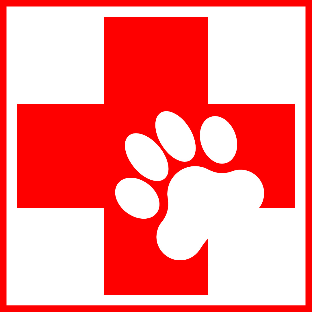 pet first aid