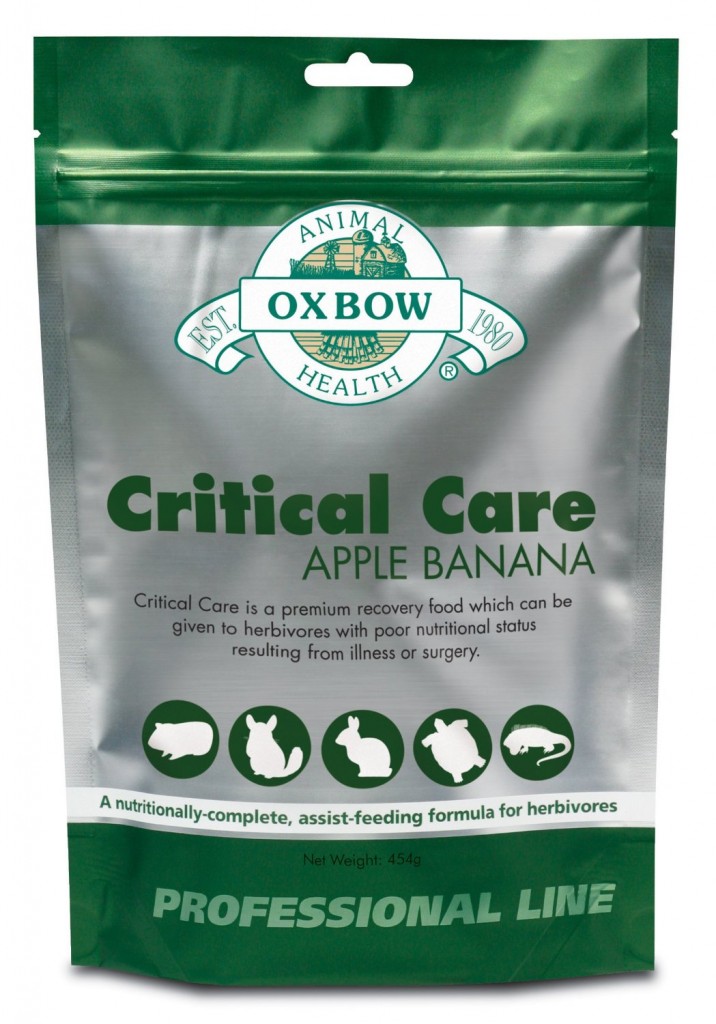 Guinea Pigs To Your Pet Space!