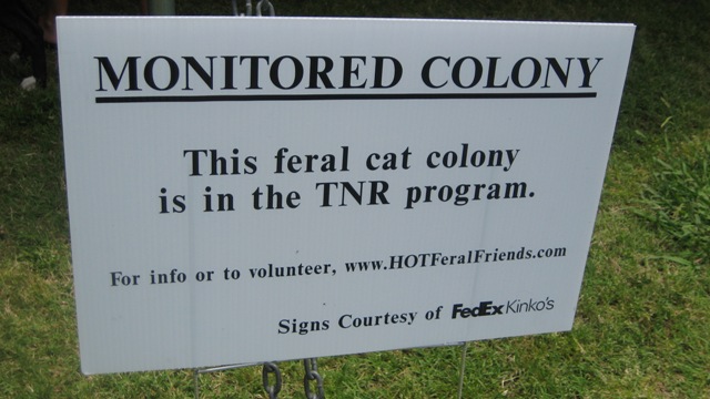 feral cat colony sign