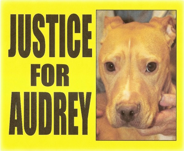 justice for audrey