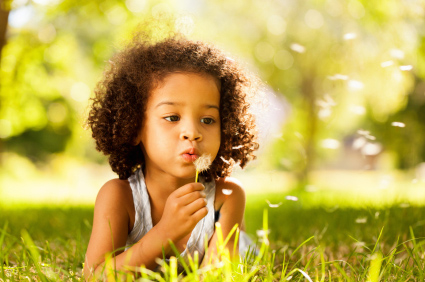 Little Girl Busy Blowing Dandelion Seeds In the Park