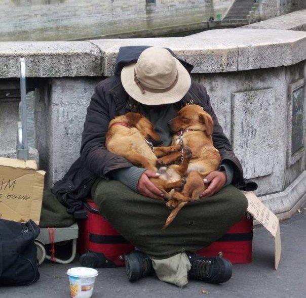 homeless with pets