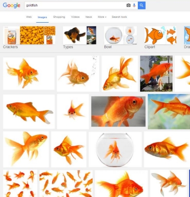 goldfish Search