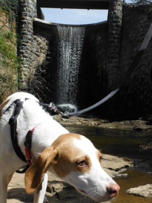 Brinly at the waterfall