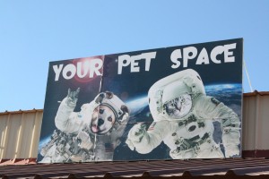 The famous Your Pet Space sign we have put up outside of the facility. 
