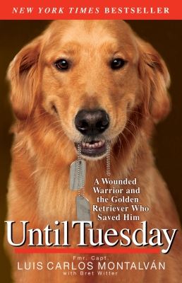 Until Tuesday Cover