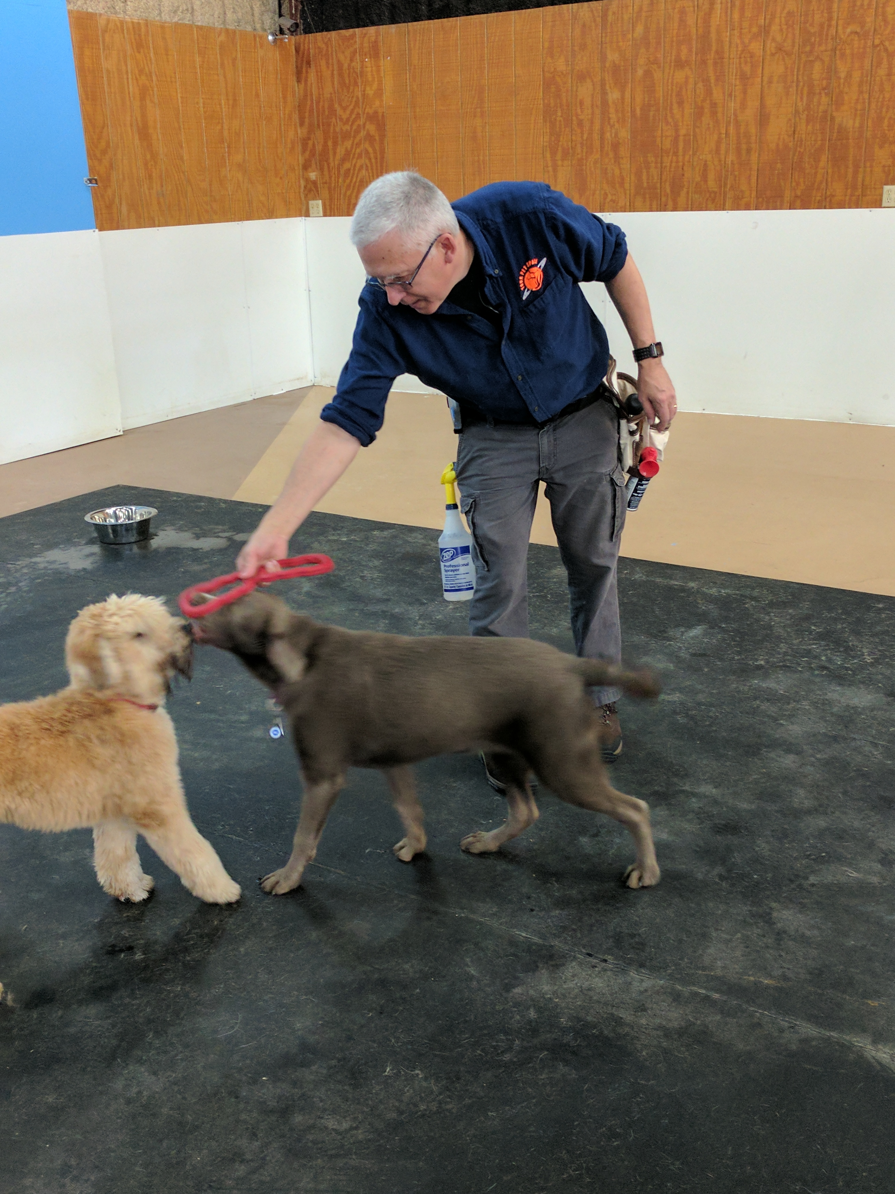 Dave teaching, Dog Daycare/Boarding Facility