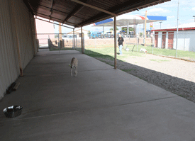 Dog Daycare/Boarding Facility